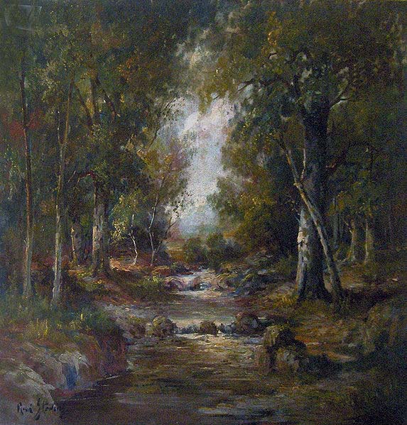 River in a forest